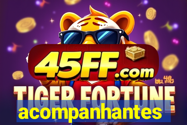 acompanhantes chamadas de video